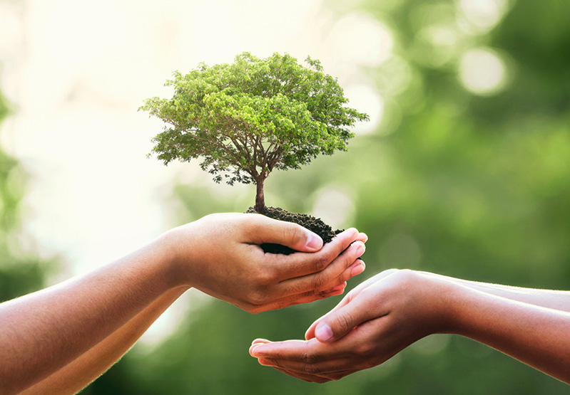 龙八(国际)体育(国际)体育承诺